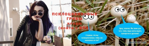 спиды Лабытнанги