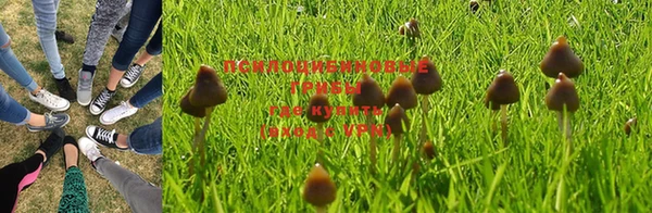 спиды Лабытнанги