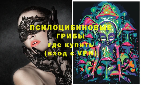 мескалин Ладушкин