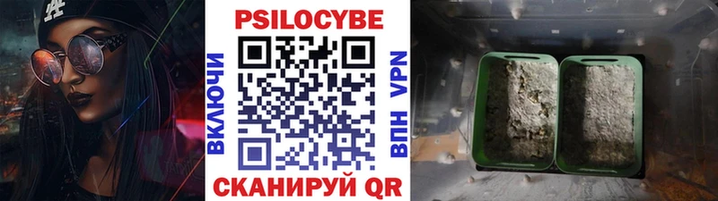 Псилоцибиновые грибы ЛСД  Купить где  Завитинск 