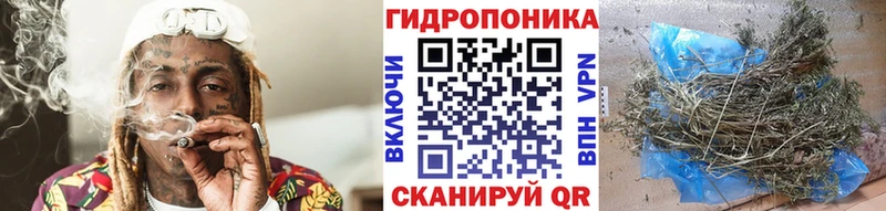 Купить закладки Завитинск Бошки Шишки гибрид